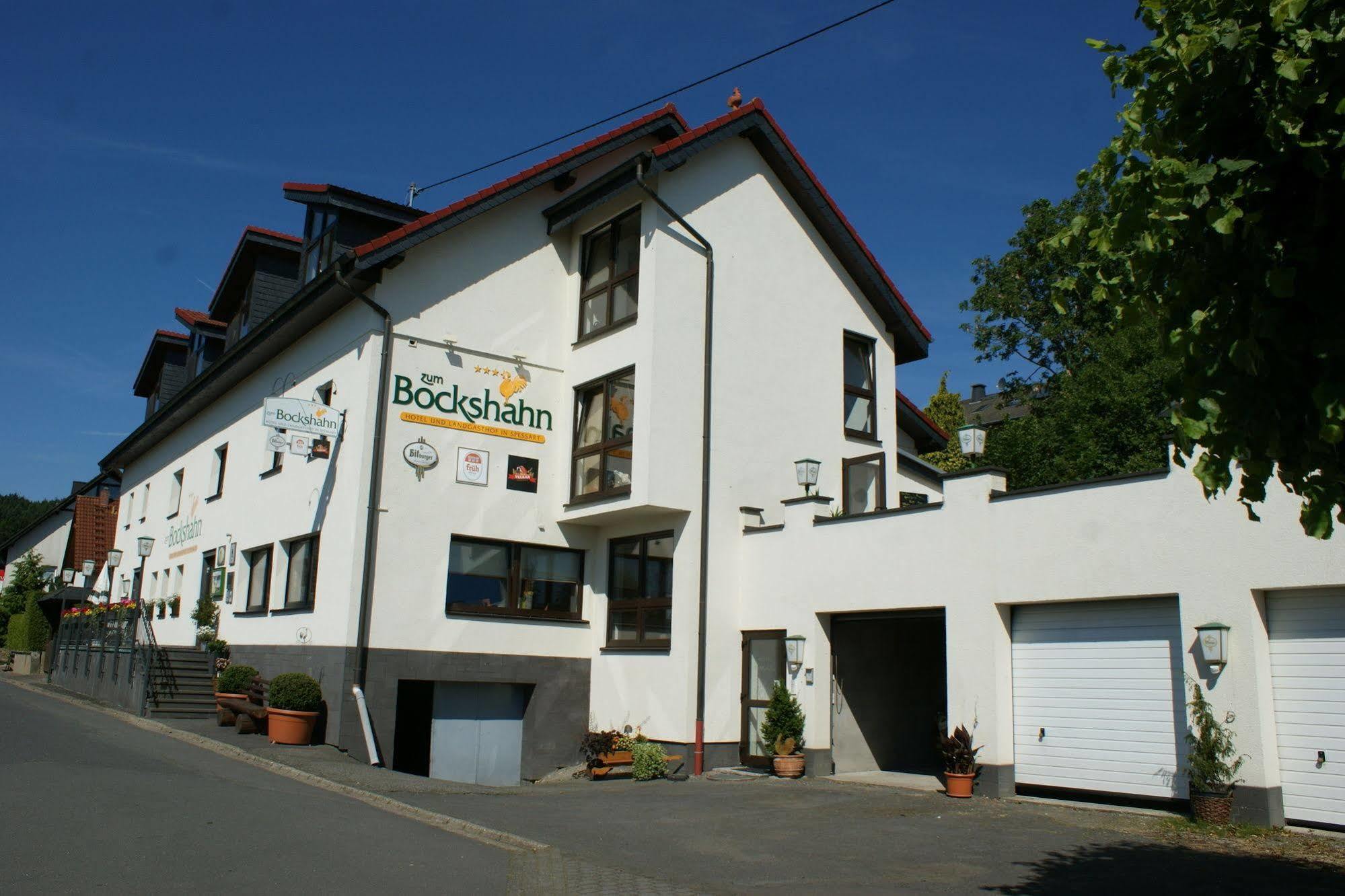 Hotel Und Landgasthof Zum Bockshahn Spessart  Esterno foto